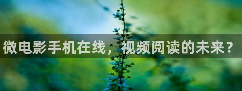 法国电影天堂海滩