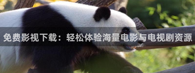 电影爱到天堂